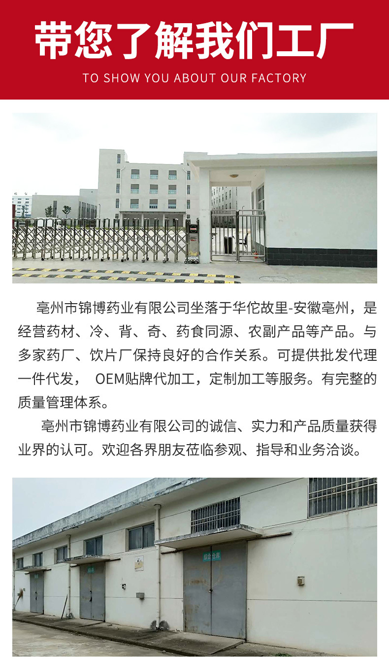 中药材石斛现货供应 铁皮石斛多种规格 散装大货批发石斛量大从优